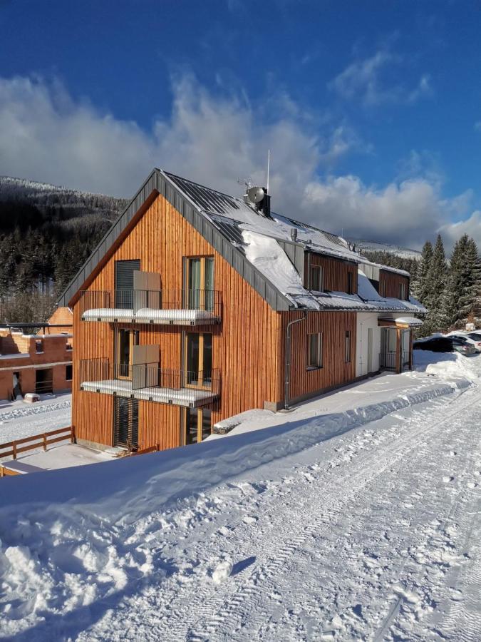 Apartman Pod Sjezdovkami Dolní Morava Exterior photo
